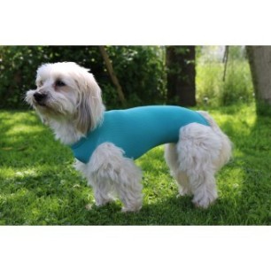 Vetmedcare Dog&Cat Body for male dogs and cats