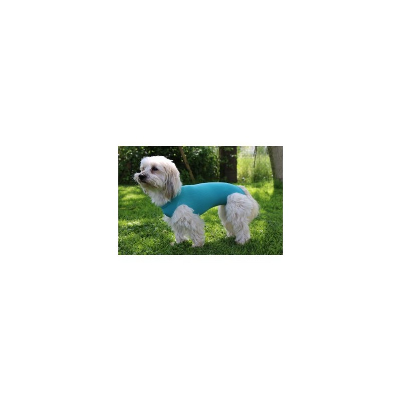 Vetmedcare Dog&Cat Body for male dogs and cats Vetmedcare Dog&Cat Body for male dogs and cats