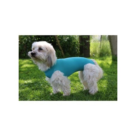Vetmedcare Dog&Cat Body for male dogs and cats