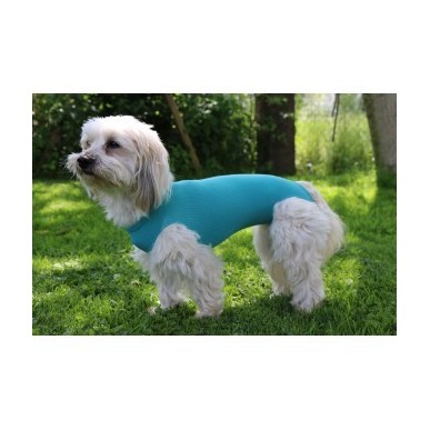 Vetmedcare Dog&Cat Body for male dogs and cats