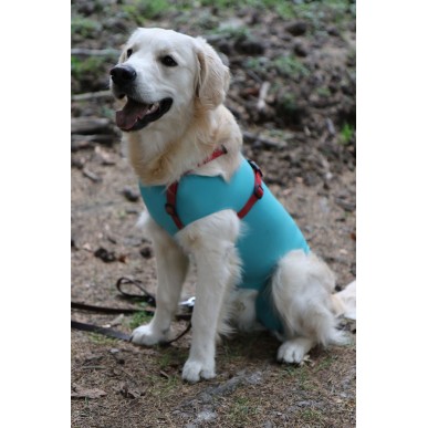 Vetmedcare Dog&Cat Body for male dogs and cats