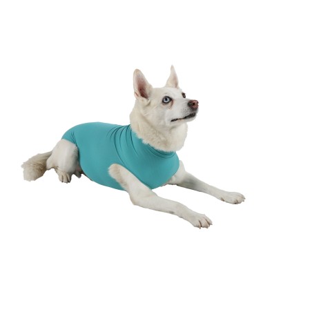 Vetmedcare Dog&Cat Body for female dogs and cats