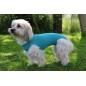 Vetmedcare Dog&Cat Body for female dogs and cats Vetmedcare Dog&Cat Body for female dogs and cats