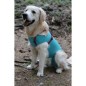 Vetmedcare Dog&Cat Body for female dogs and cats Vetmedcare Dog&Cat Body for female dogs and cats