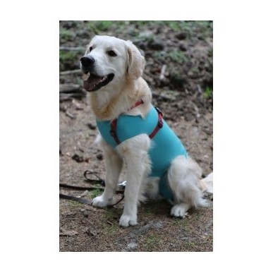 Vetmedcare Dog&Cat Body for female dogs and cats