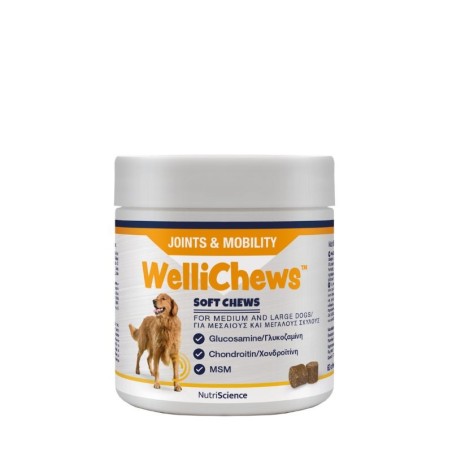 WelliChews™ Joints & Mobility