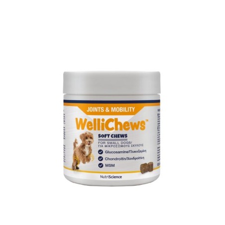 WelliChews™ Joints & Mobility