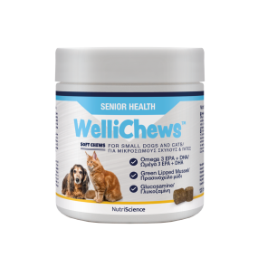 WelliChews™ Senior Soft Chews