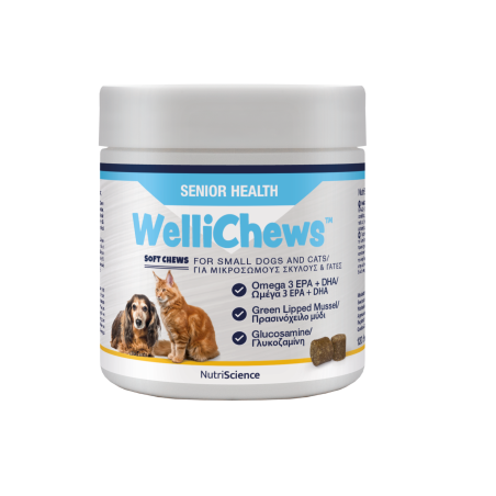 WelliChews™ Senior Soft Chews
