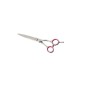 GEIB Professional Stainless steel scissor 21 cm
