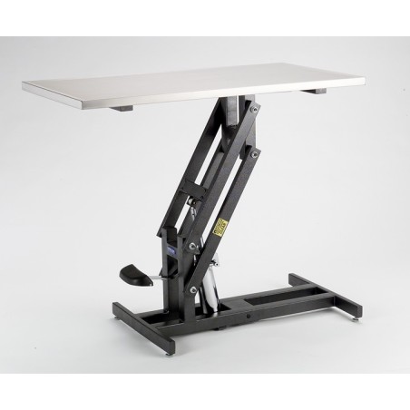 Exam Table with Electric Lift