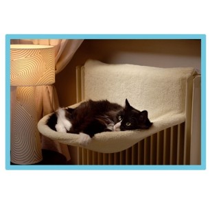 Cat perch for radiator
