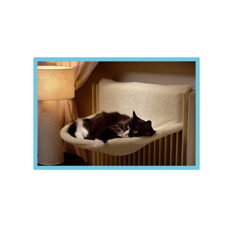 Cat perch for radiator Cat perch for radiator