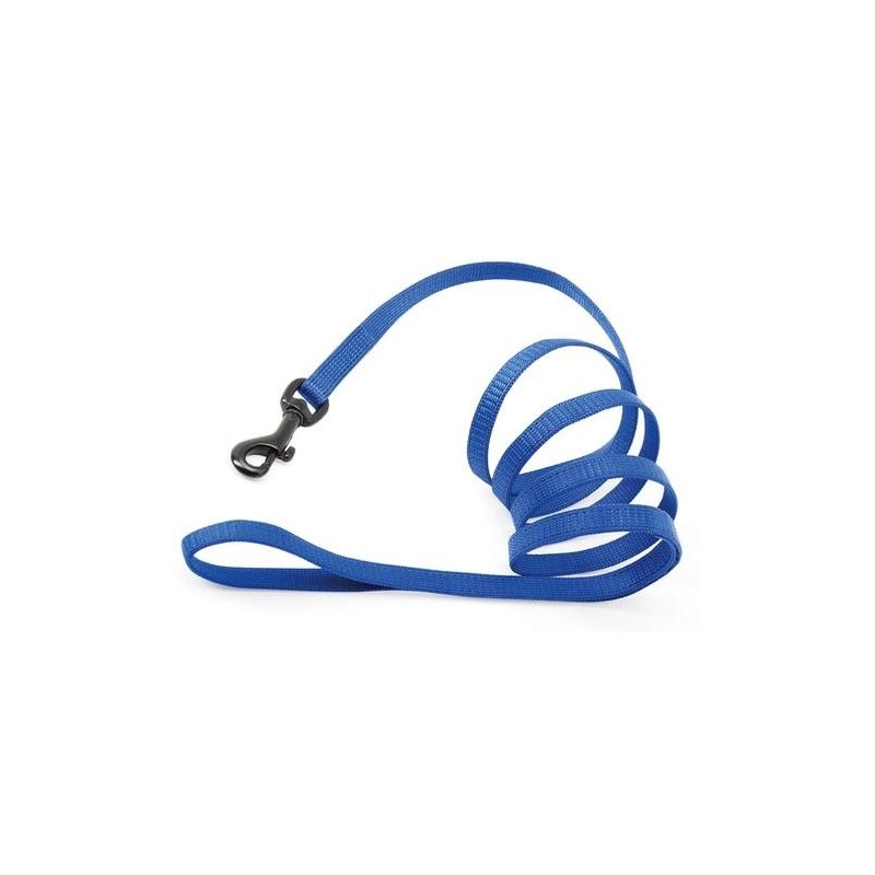 Flash Japan  Leash