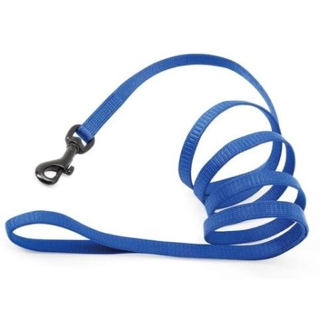 Flash Japan  Leash