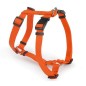 Nylon Harness with double adjustment 18 mm