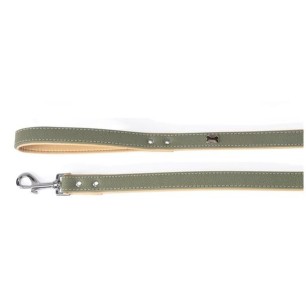 "Timber" green leash 