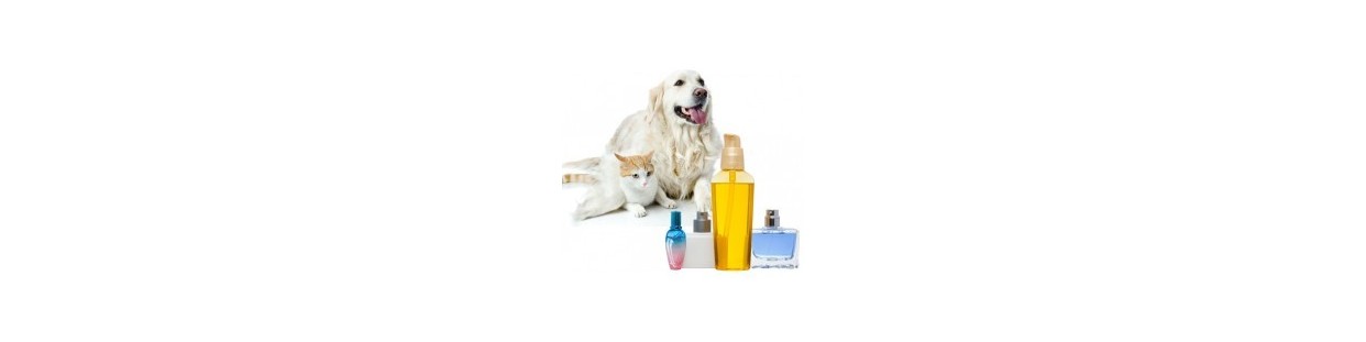 Pet Beauty and Care