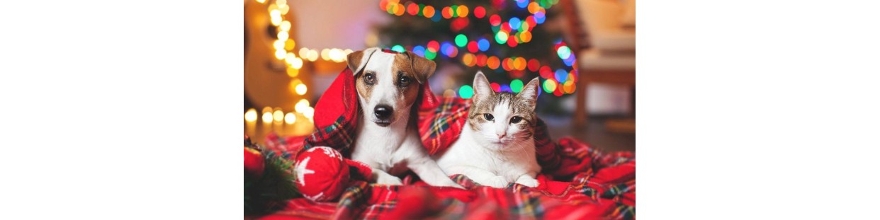 Christmas Products