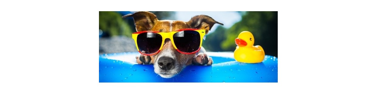 Summer Specials