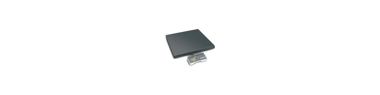 Electronic Scales