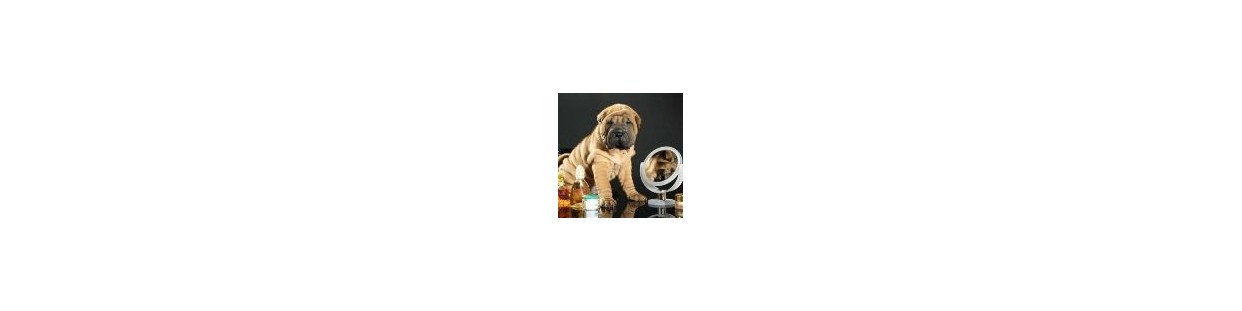 Pet Perfumes
