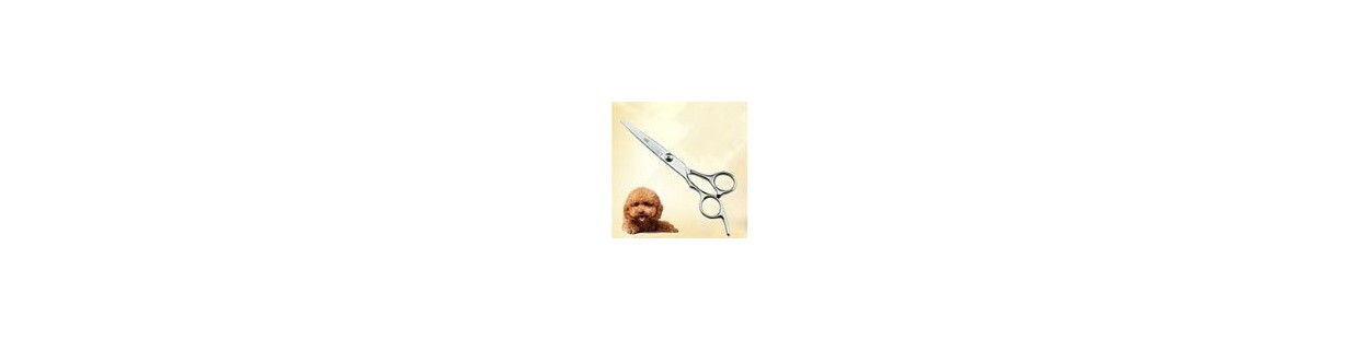 Professional Scissors