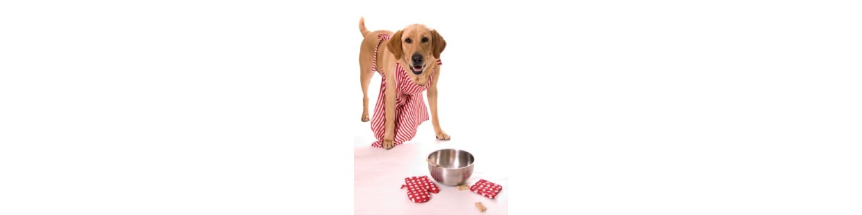 Dog Food