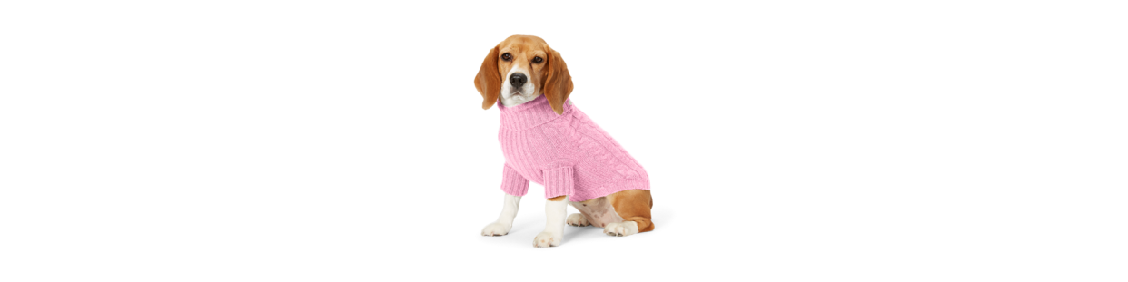 Pet Apparel