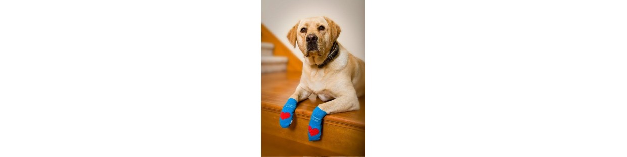 Shoes and Socks